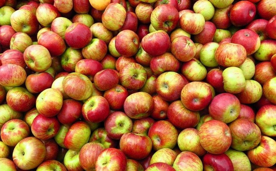 diet epal untuk penurunan berat badan